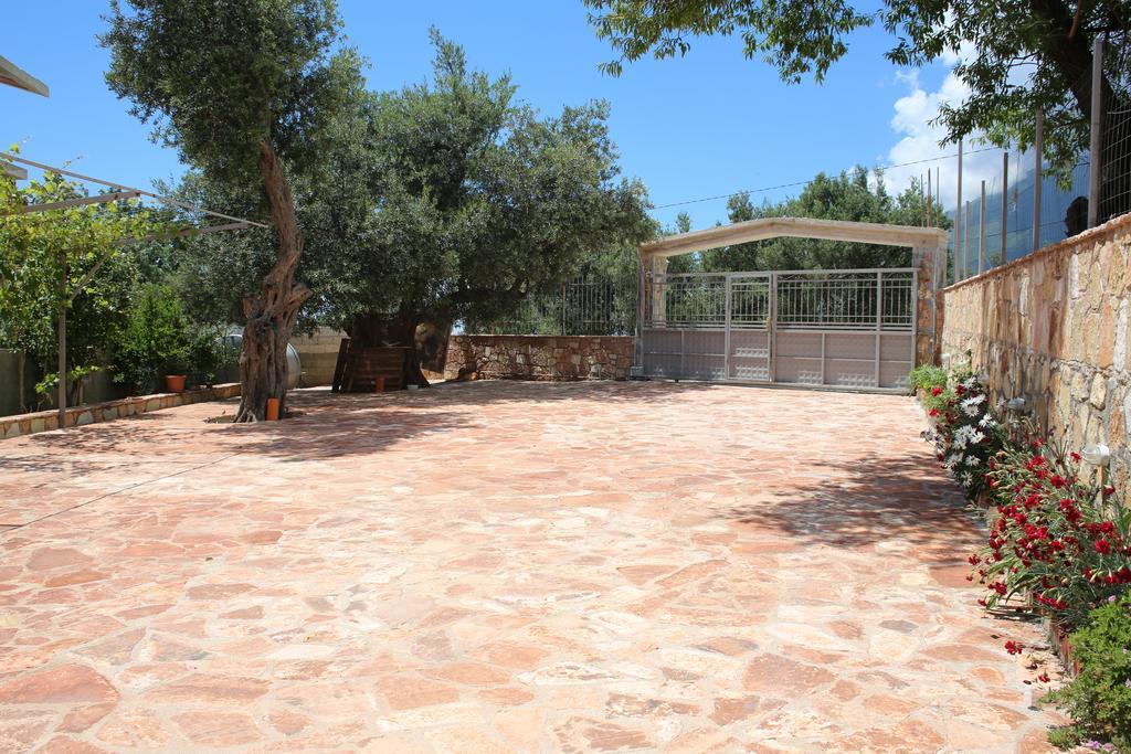 Hotel La Maroja View